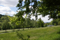 Burg_Suchbild