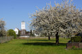 Kirche-und-Baum